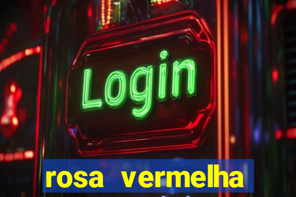 rosa vermelha (letra e cifra)